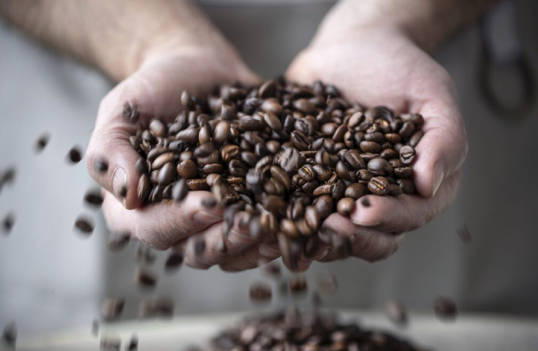 Roast AI Maestro: Transforming the Craft of Coffee Roasting.